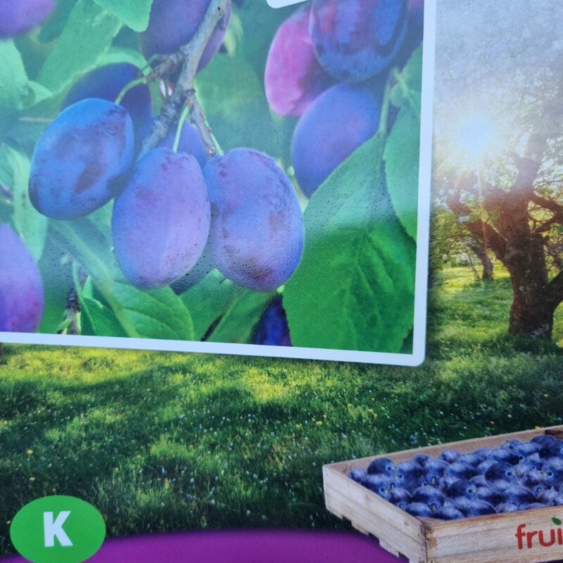 Plum, Stanley, 5Ft