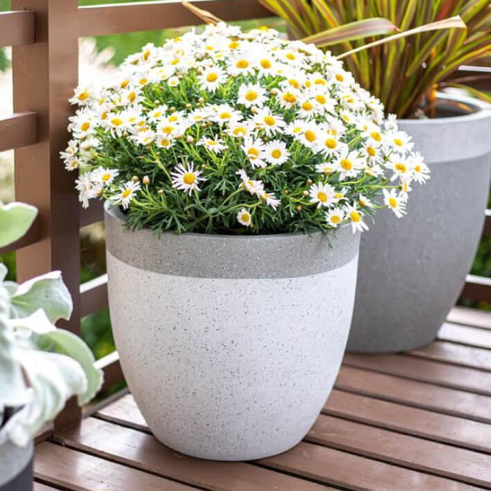 Pots & Planters