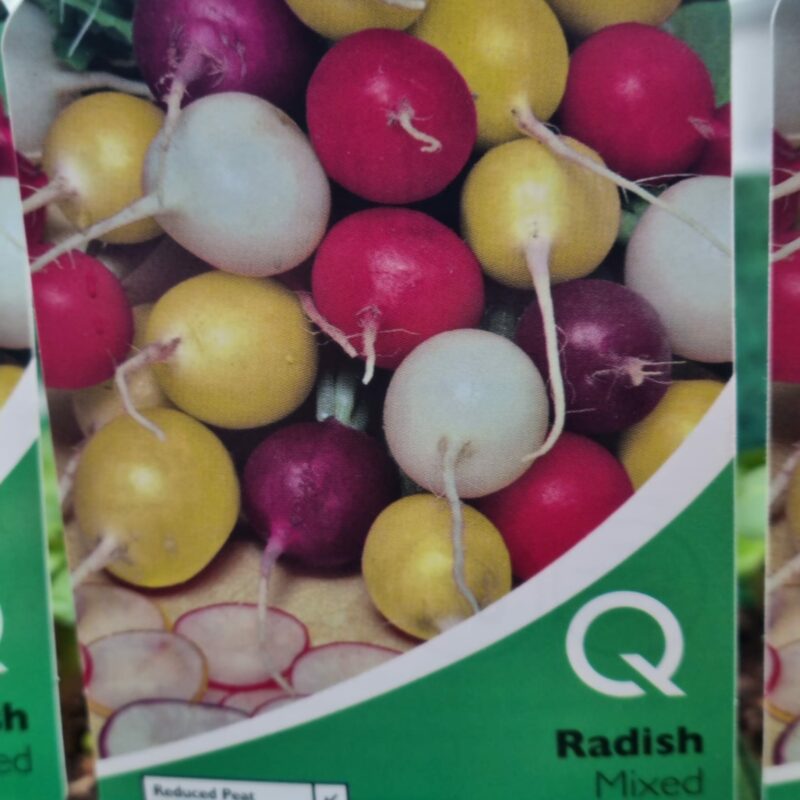 Radish-Mixed-Multi-Strip-Pack