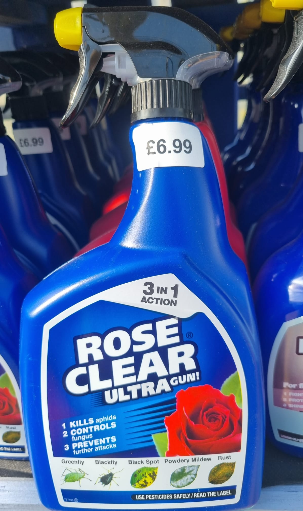 Rose Clear Ultra Gun Holland House Garden Centre Preston