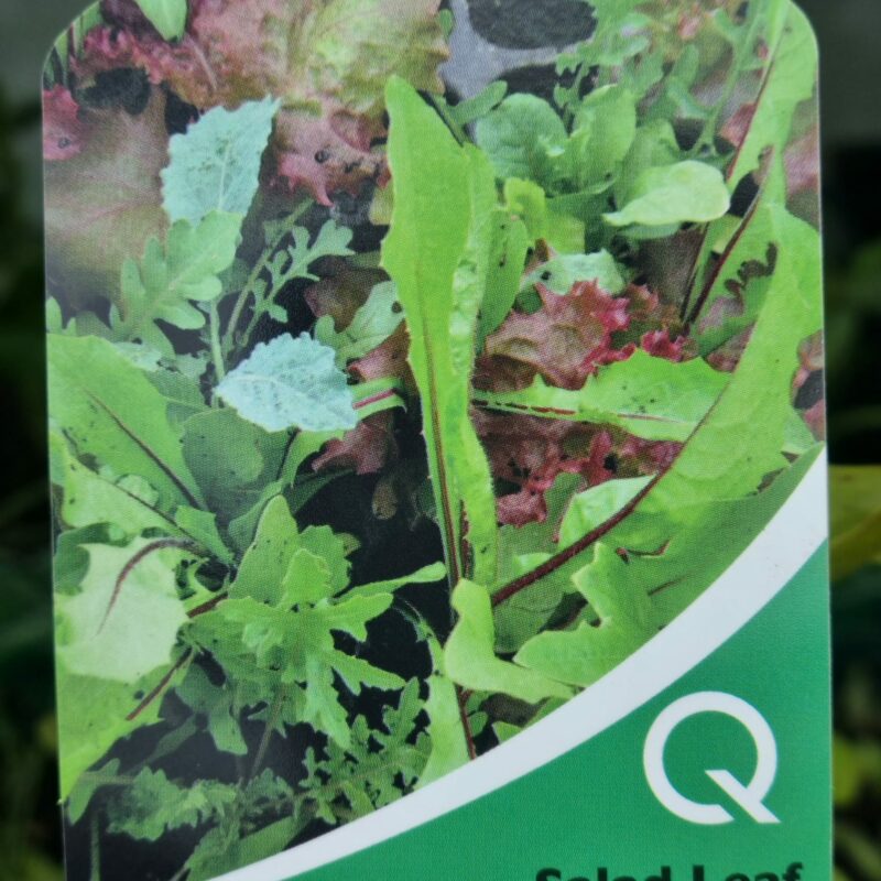 Salad-Leaf-Italian-Mix-Multi-Strip-Pack