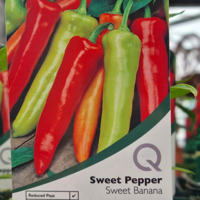 Sweet-Pepper-Sweet-Banana-10cm