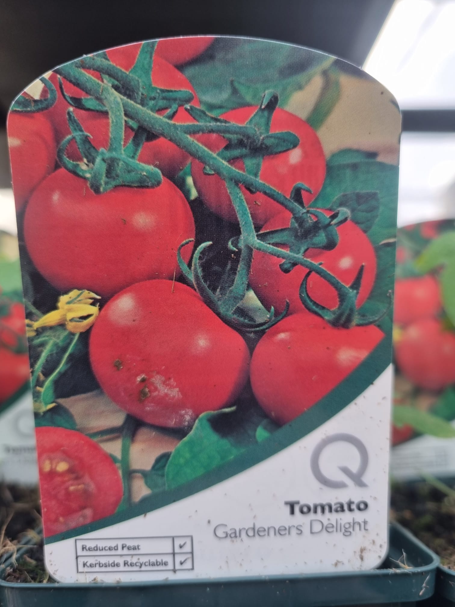 TomatoGardenersDelight9cm Holland House Garden Centre Preston