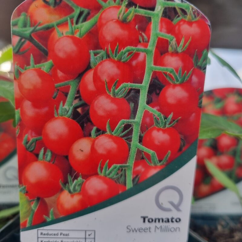Tomato-Sweet-Million-9-cm