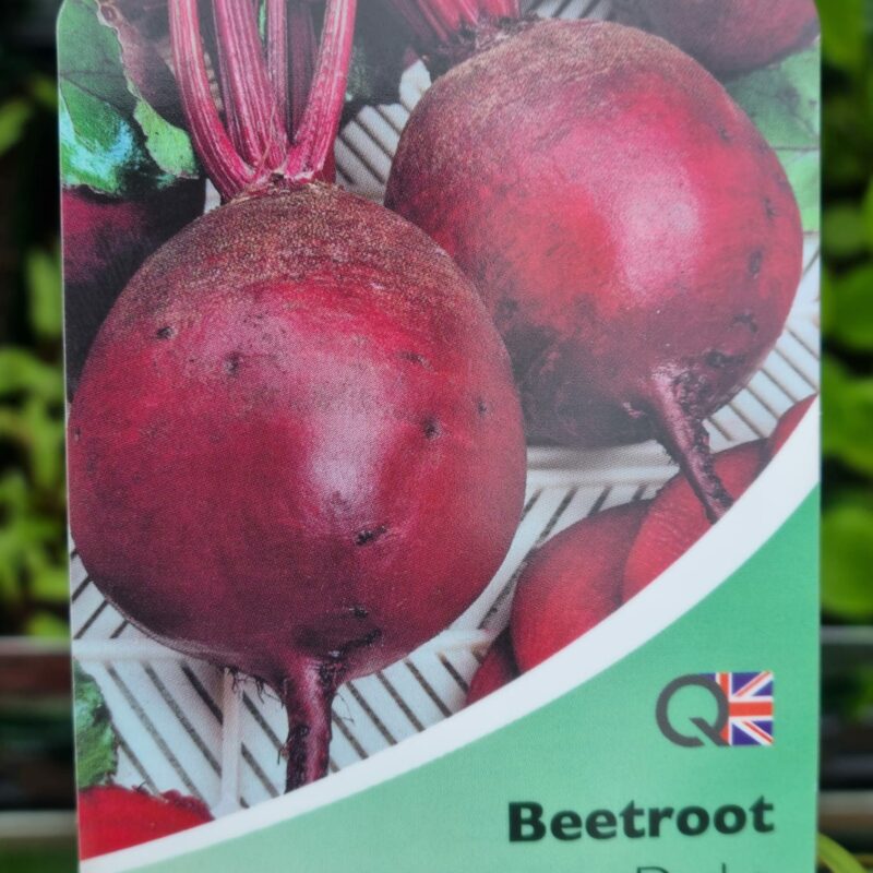 Beetroot, Darko, Strip Multi Pack