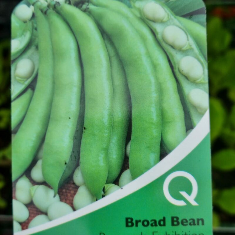Broad Bean, Bunyards Exhebition, Strip Multi Pack
