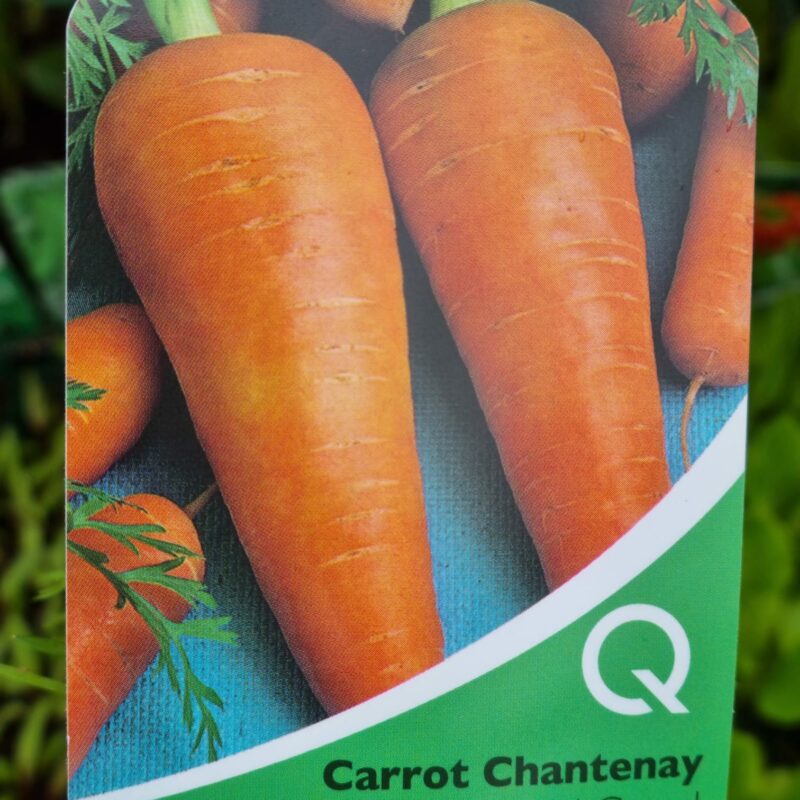 Carrot, Chanteney, Strip Multi Pack