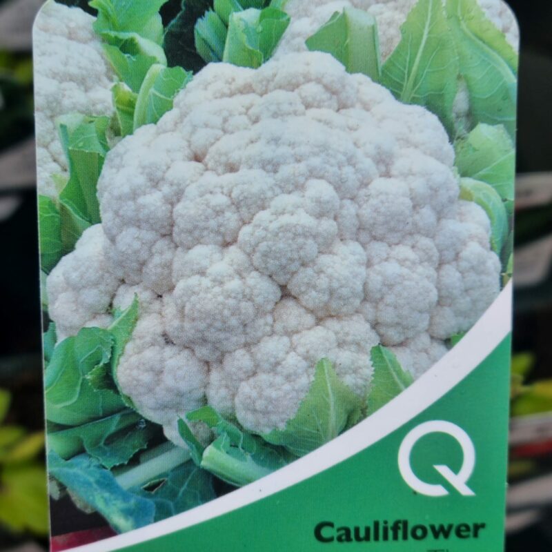 Cauliflower, Stip Multi Pack