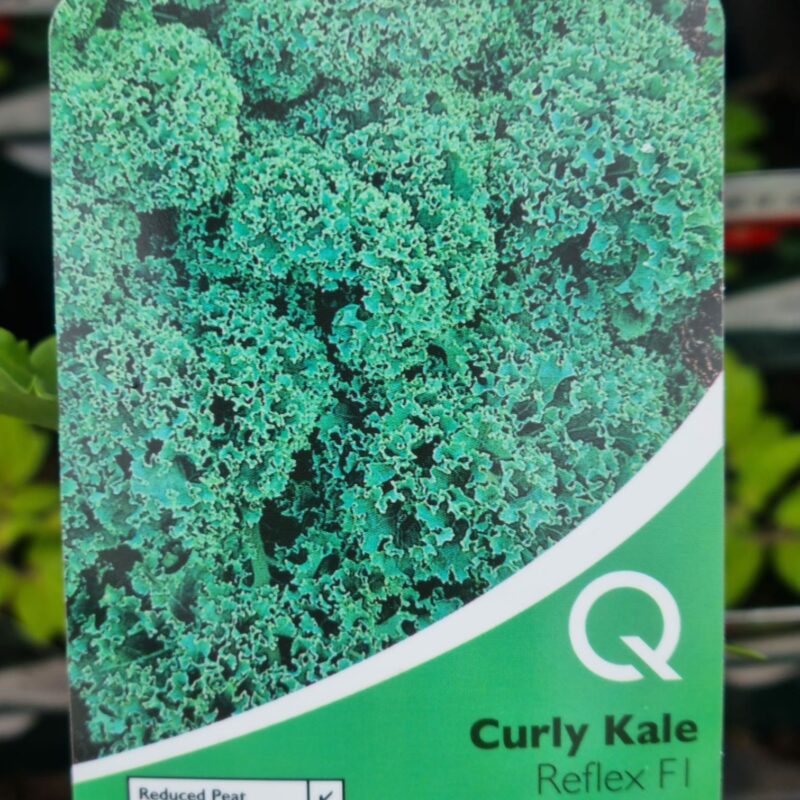 Curly Kale, Reflex, Strip Multi Pack
