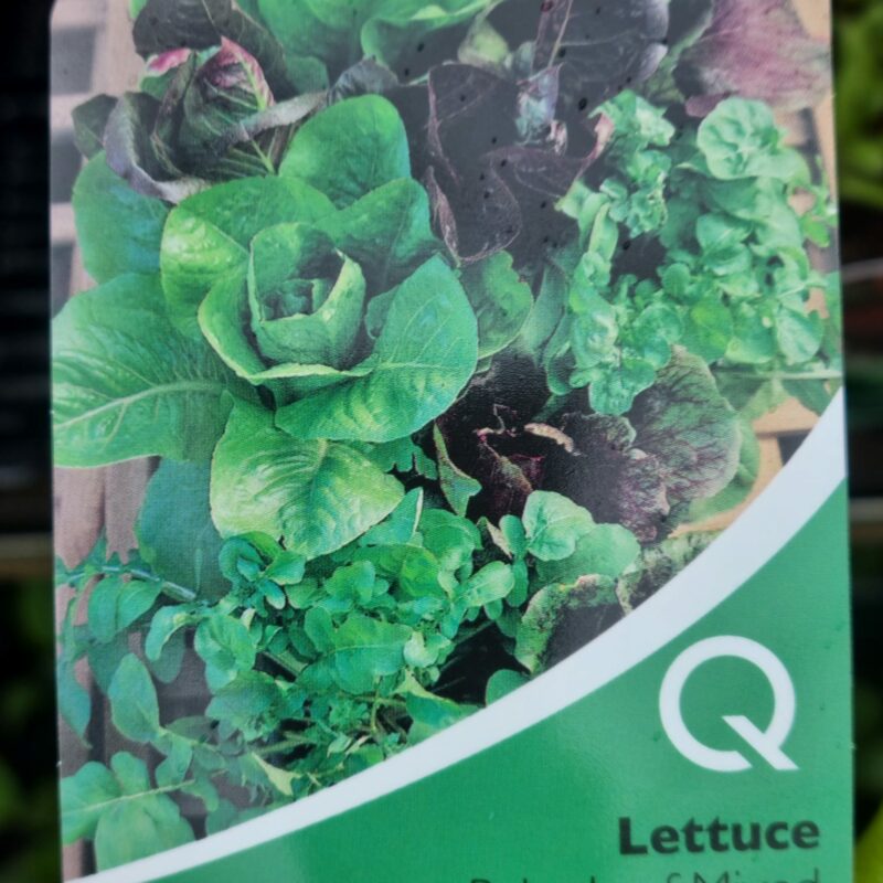 Lettuce, Baby Leaf Mix, Strip Multi Pack