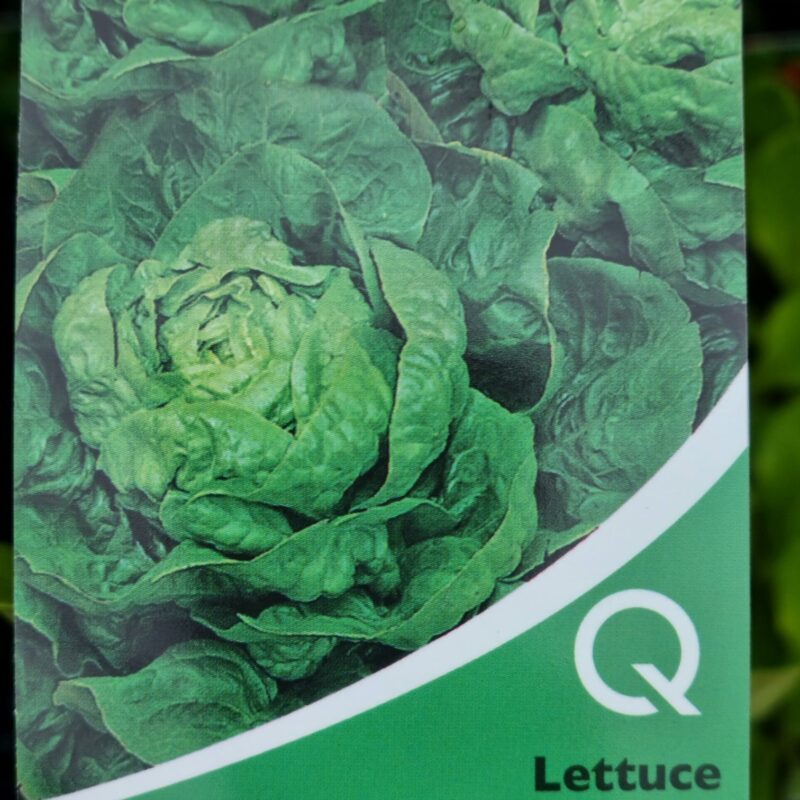 Lettuce, Little Gem, Strip Multi Pack