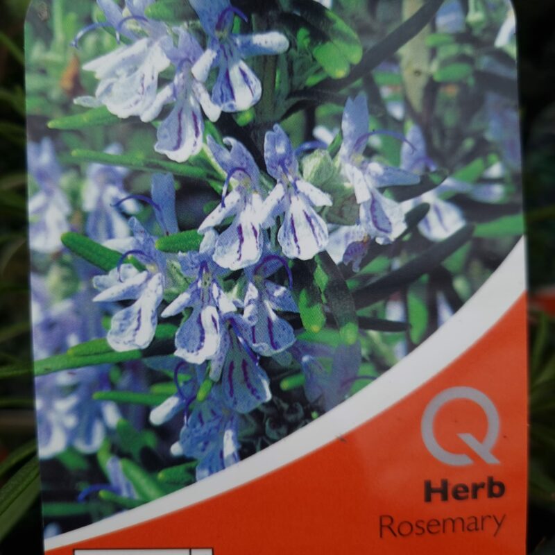 Rosemary 1 Ltr
