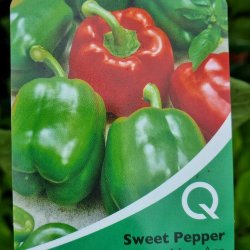 Sweet Pepper , New Ace Strip Multi Pack