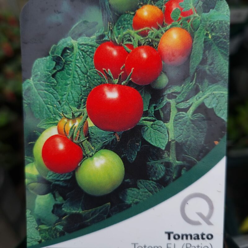 Tomato Totem Strip Multi Pack