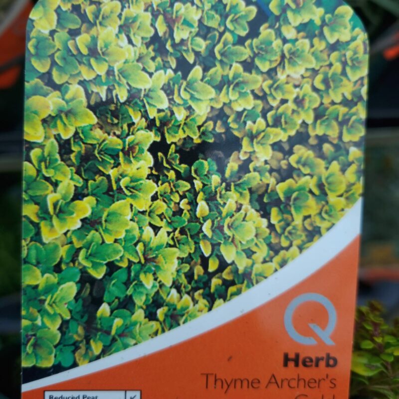 Thyme Archers Gold 1 Ltr