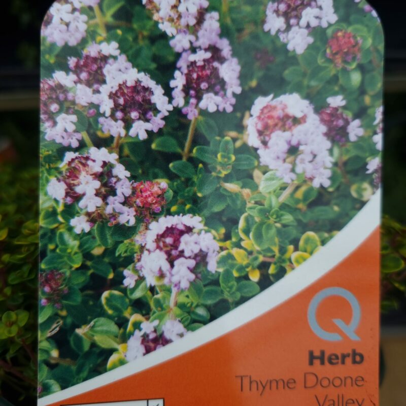 Thyme Doon Valley 1Ltr