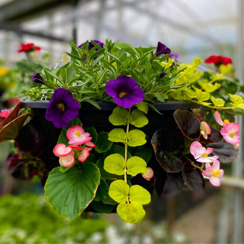 Patch Baskets