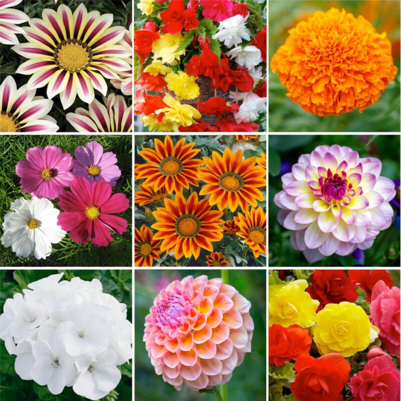 Summer Bedding 4 Pack