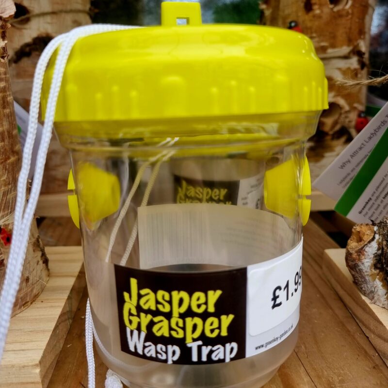 Wasp trap