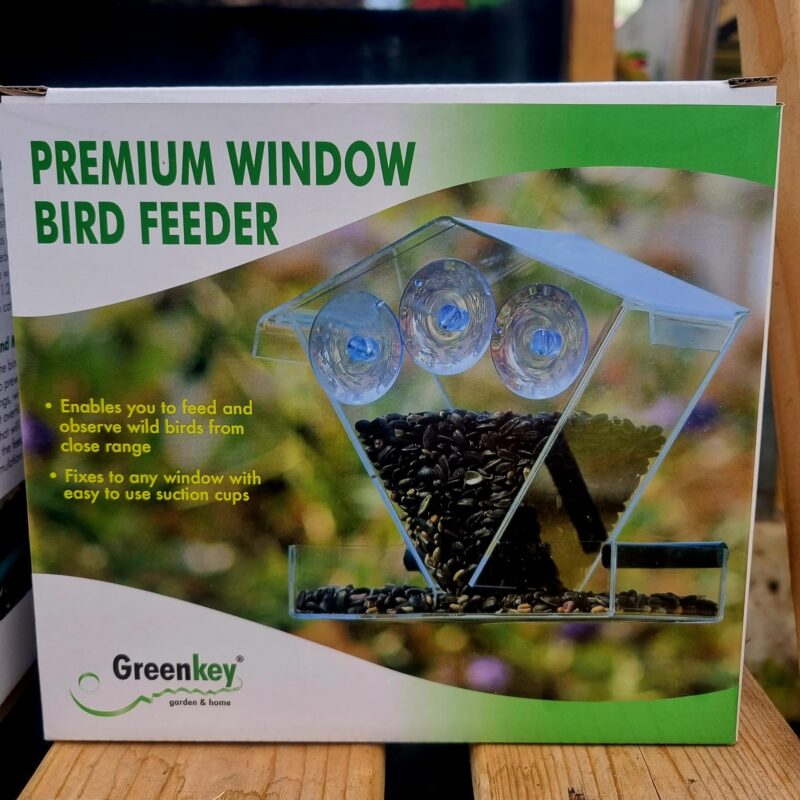 Window bird feeder