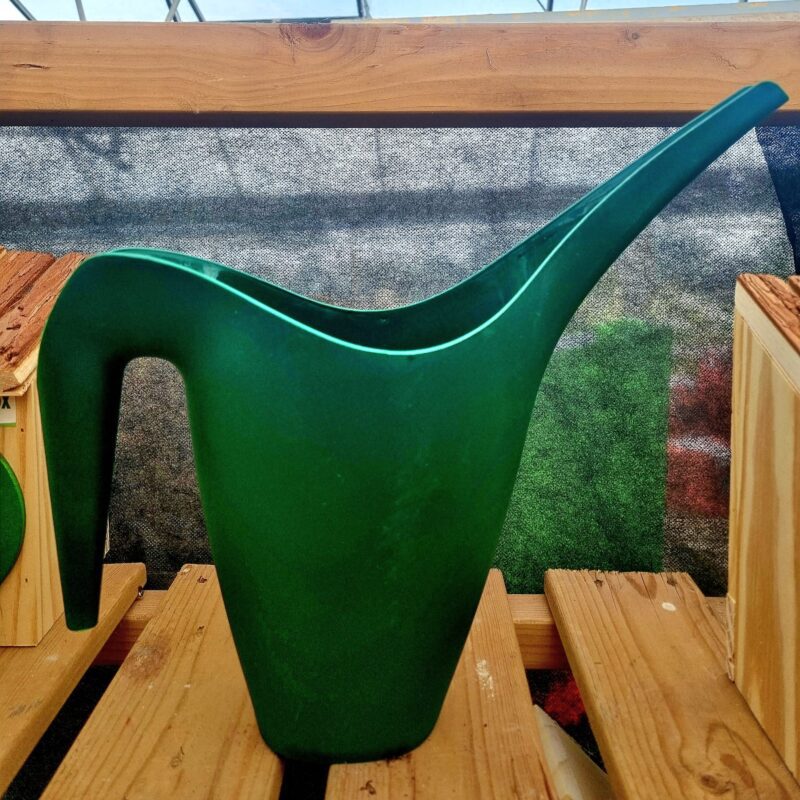 Watering Jug