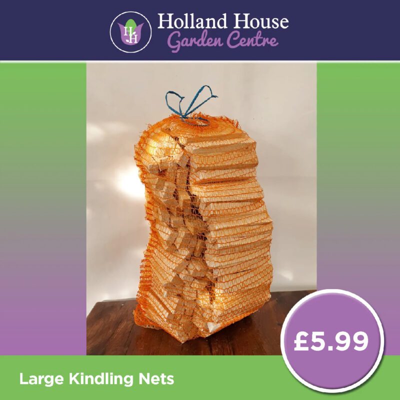 Holland House kindling large