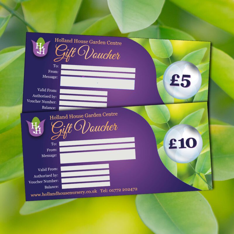 Gift Vouchers