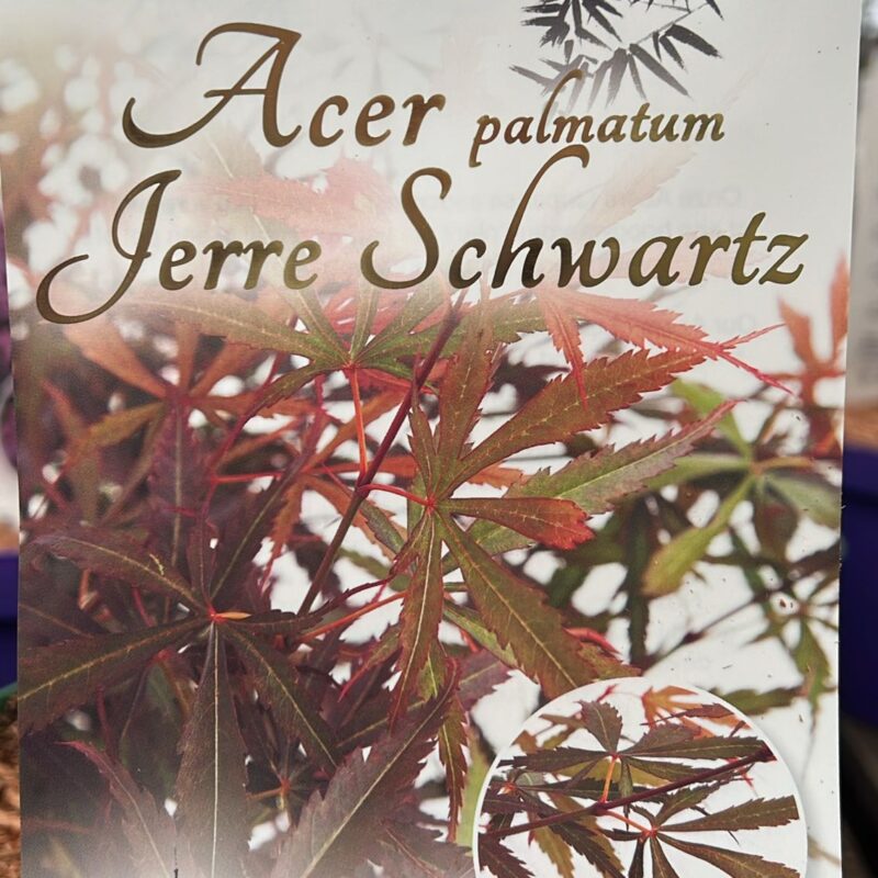 Acer Jerre Schwartz 3ltr