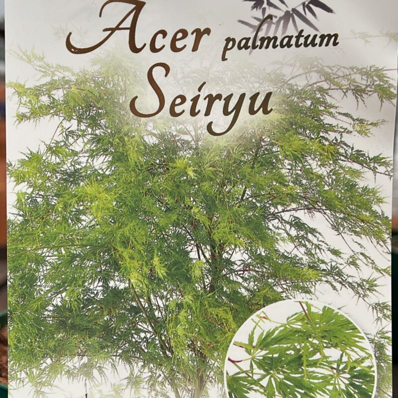 Acer Seiryu  3ltr