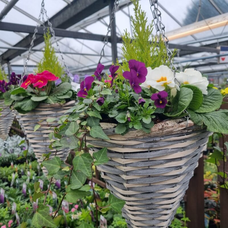 Basket grey cone 12in 2 for £40