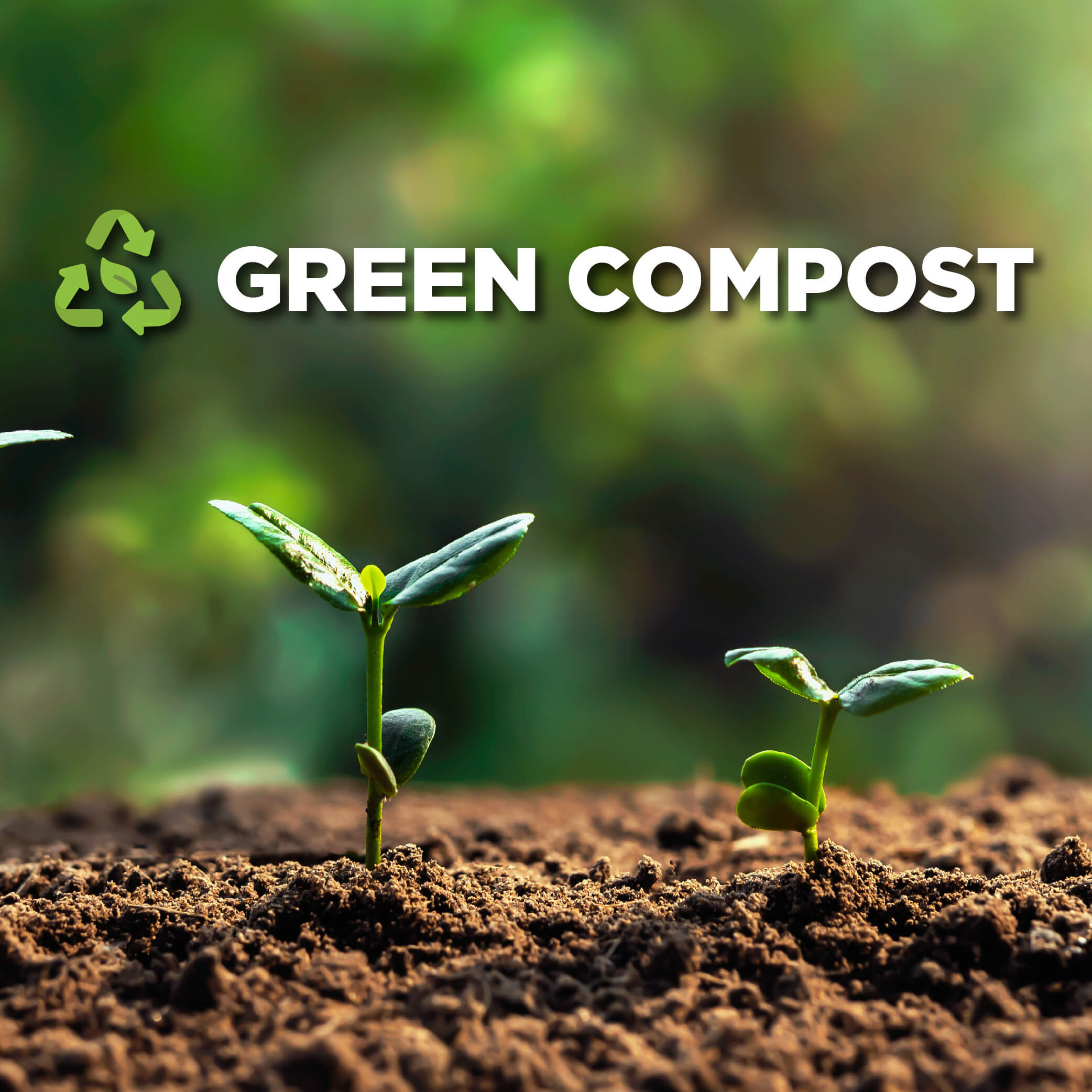 Green Compost Holland House Garden Centre Preston