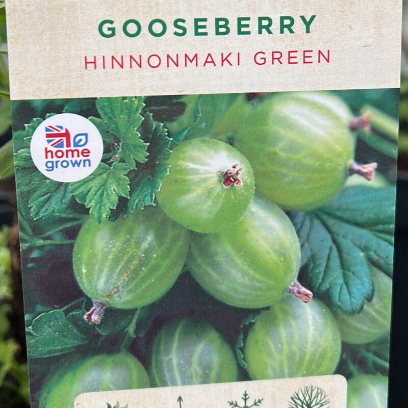 Gooseberry Hinnonmaki Green 7.5ltr