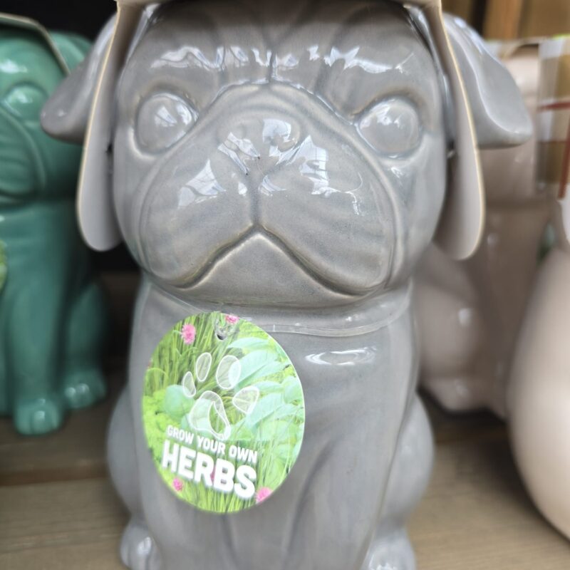 Pug herb kit gray
