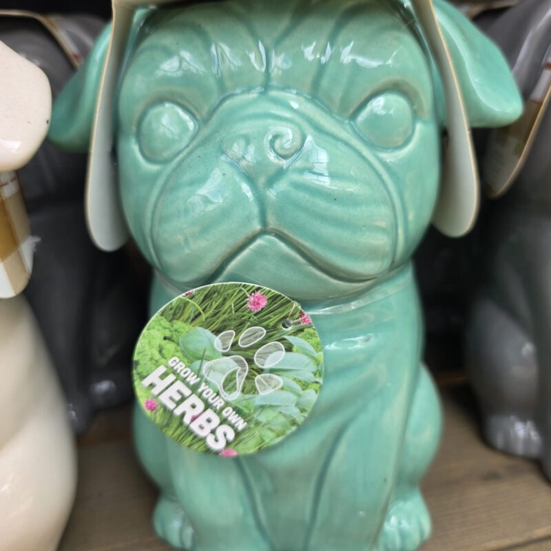Pug herb kit turquoise