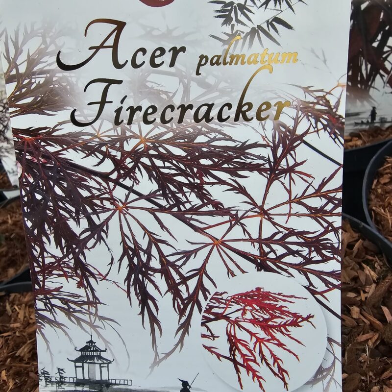 Acer Firectracker 2 ltr