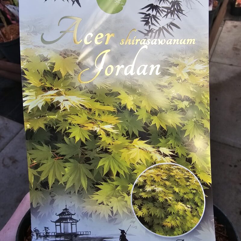 Acer Jordan 2ltr