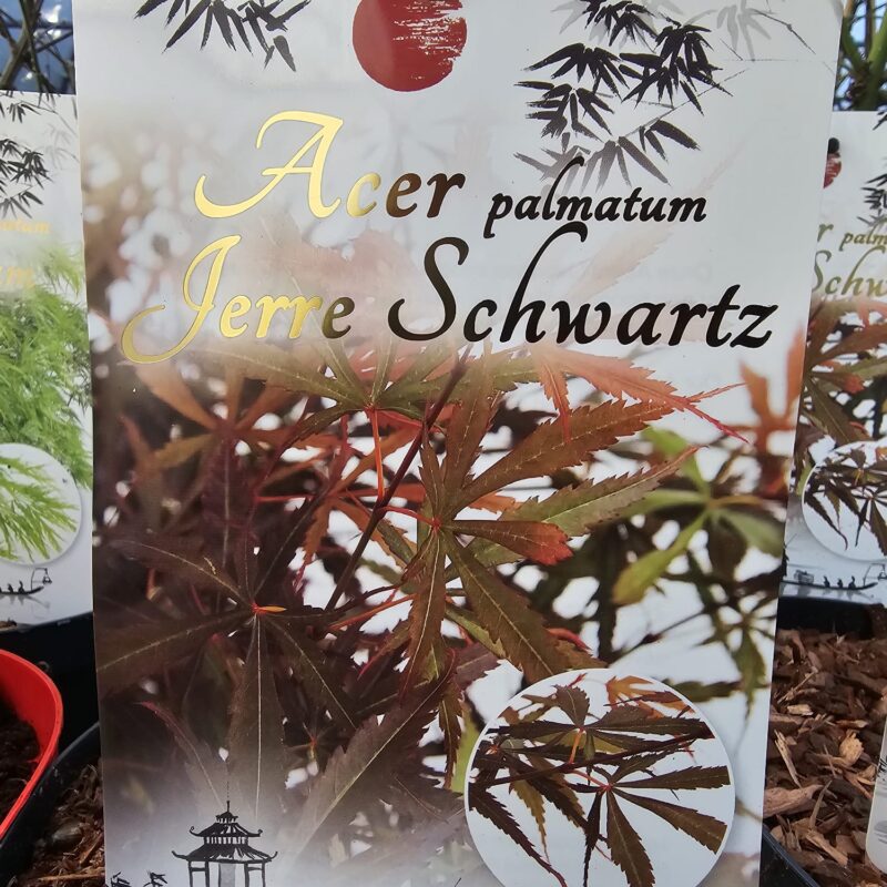 Acer Jerre Schwartz 2 ltr
