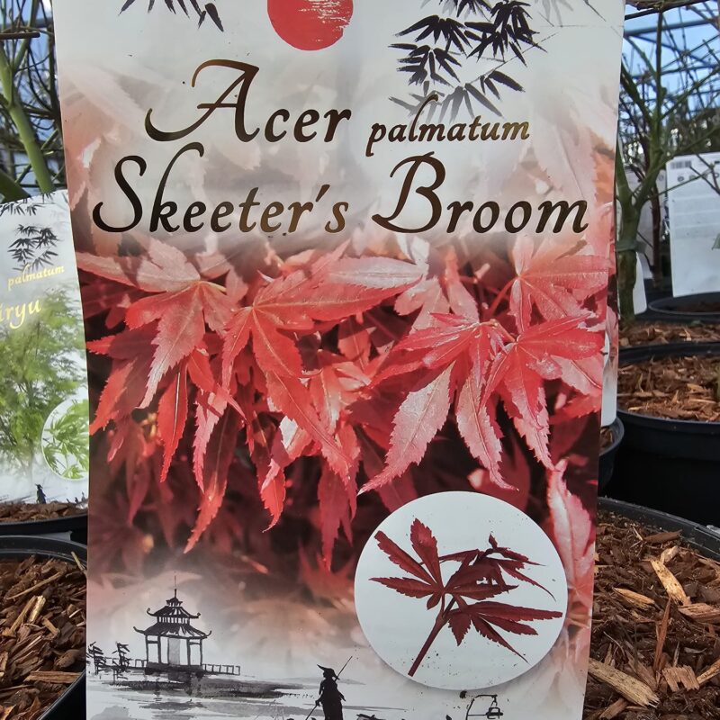 Skeeters Broom 5 Ltr
