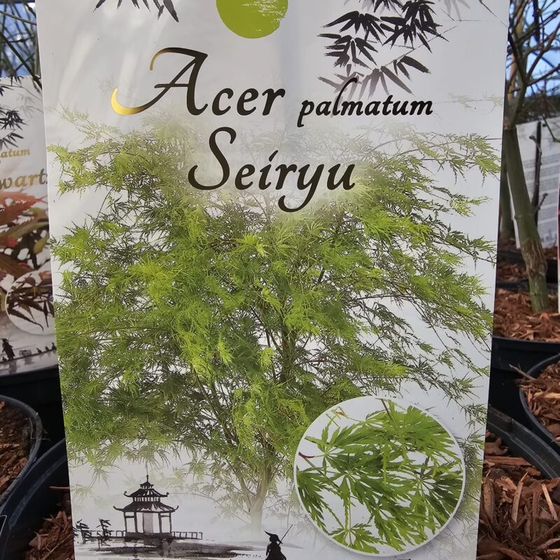 Acer Seiryu 5 Ltr