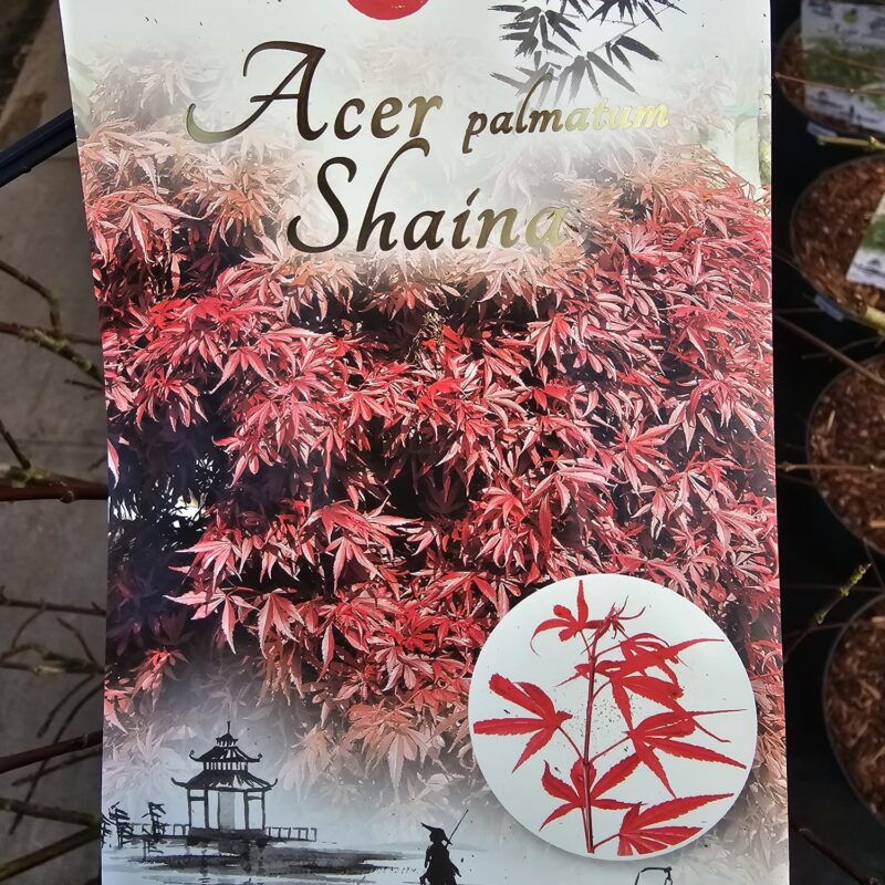 Acer Shanna 7.5 Ltr