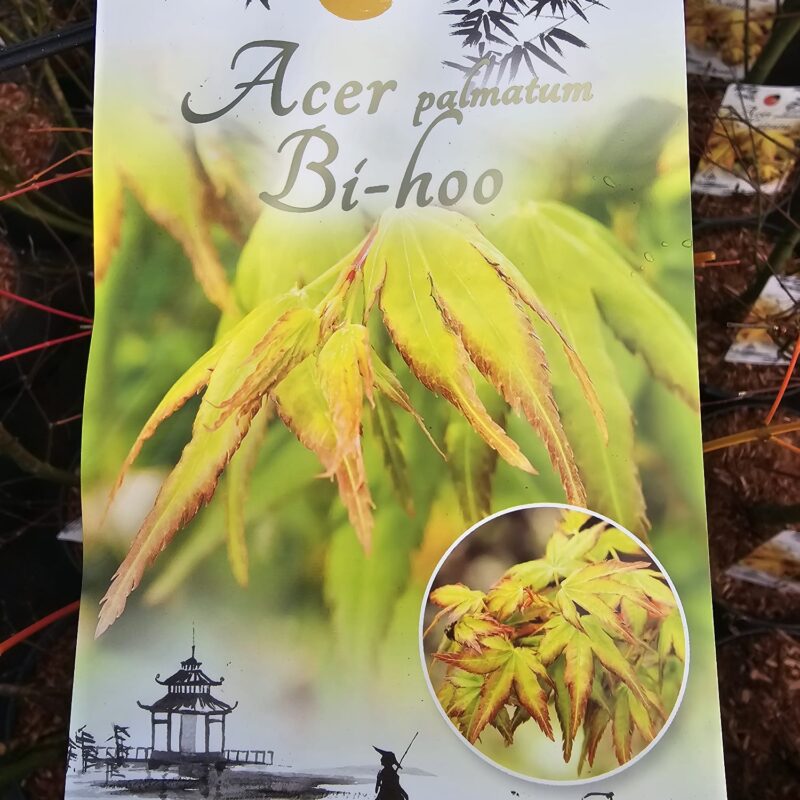 Acer Bi-Hoo 7.5Ltr