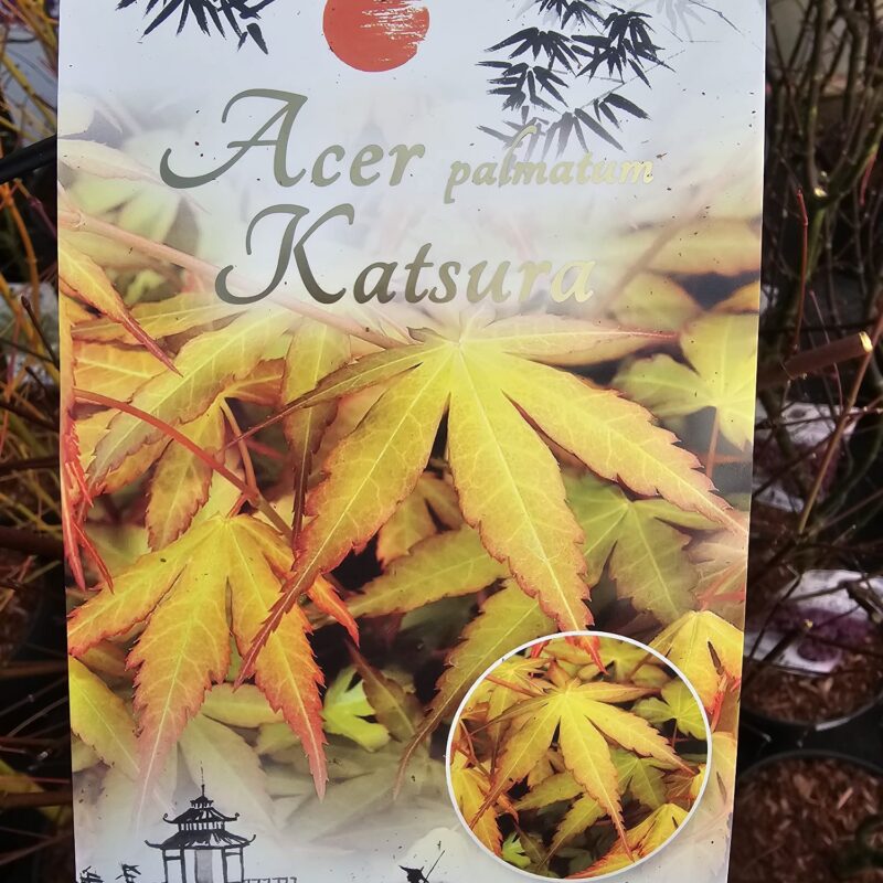 Acer Katsura 7.5 Ltr