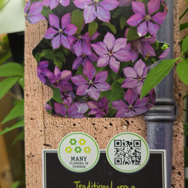 Clematis margaret hunt 2ltr £14.99