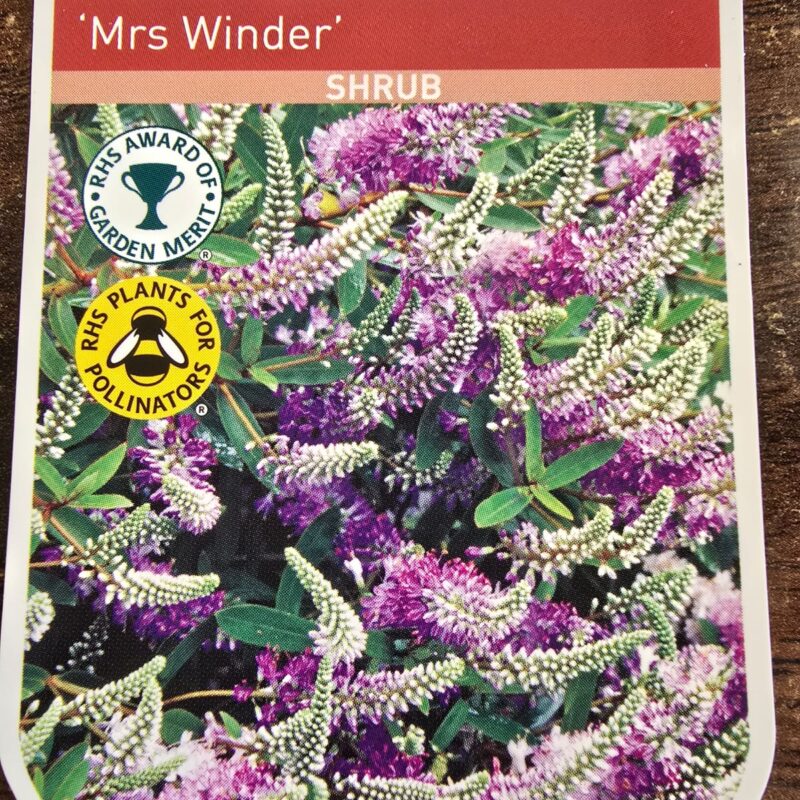 Hebe Mrs winder 4ltr £12.99