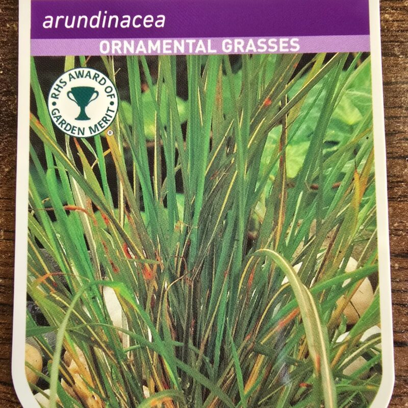 Stipa arundinacea 2ltr 7.99