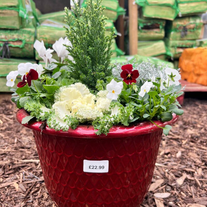 Christmas Planter Red