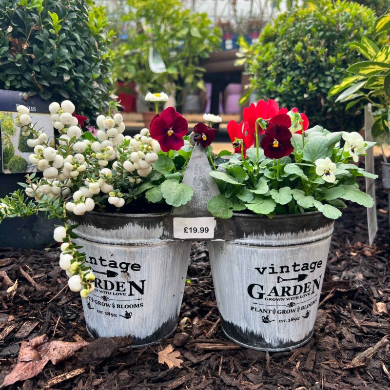 Winter Planter Galvanised Twin