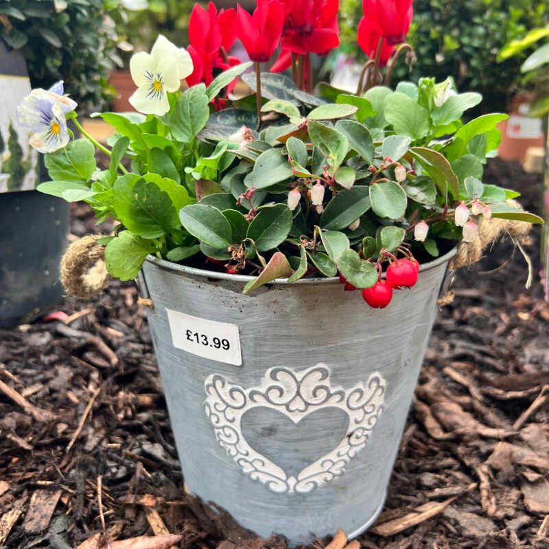 Christmas Planter Galvanised Heart