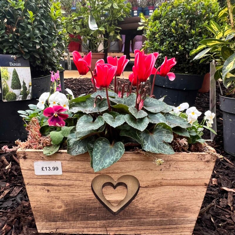 Winter Wooden Heart Planter