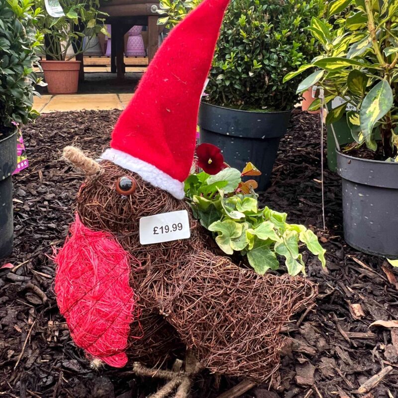 Robin Planter (planted)